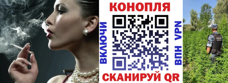 KRAKEN онион  Шахунья  Шишки марихуана семена 